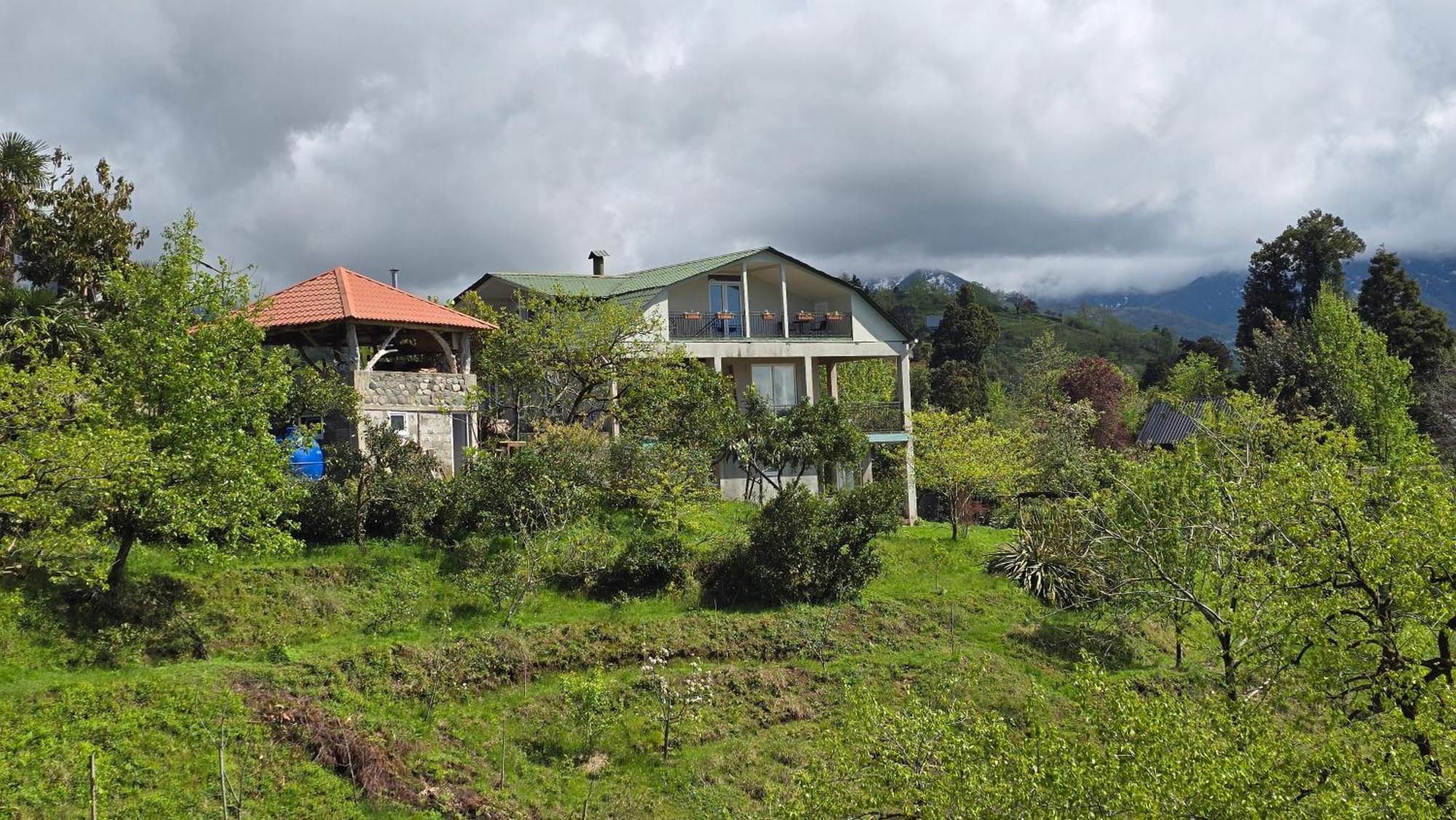 Olga'S Home Batumi Exterior photo