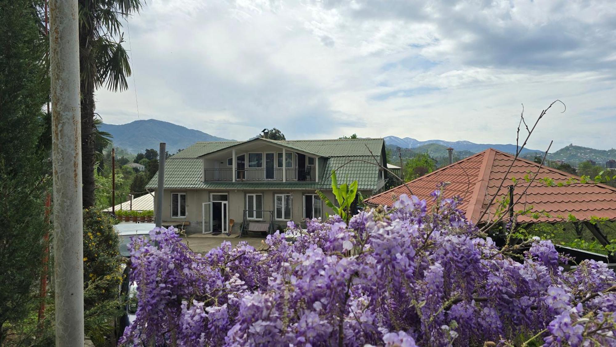 Olga'S Home Batumi Exterior photo