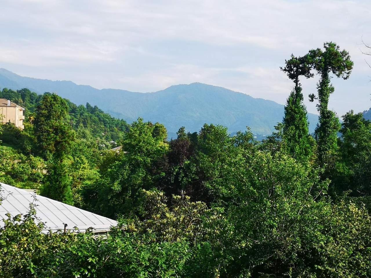 Olga'S Home Batumi Exterior photo